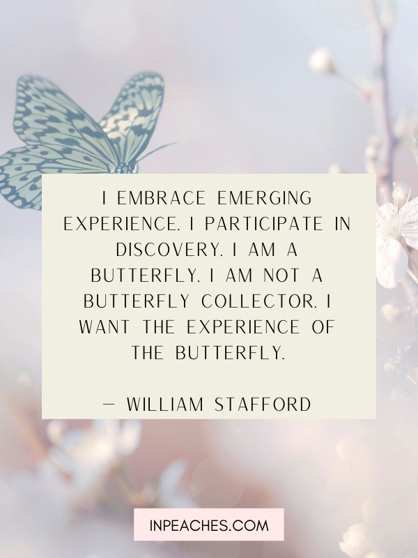 Butterfly quotes and short sayings