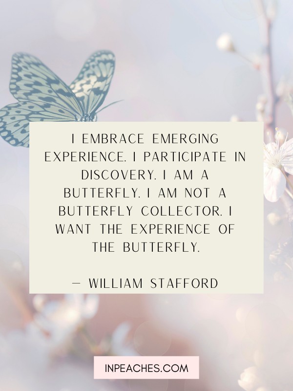 80 Butterfly Quotes that ll Inspire Transformation inPeaches