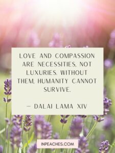 80+ Powerful Compassion Quotes to Inspire You - inPeaches