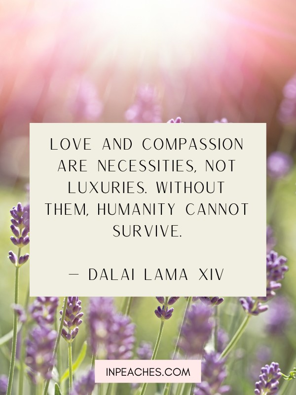 Compassion quotes and quotes about compassion