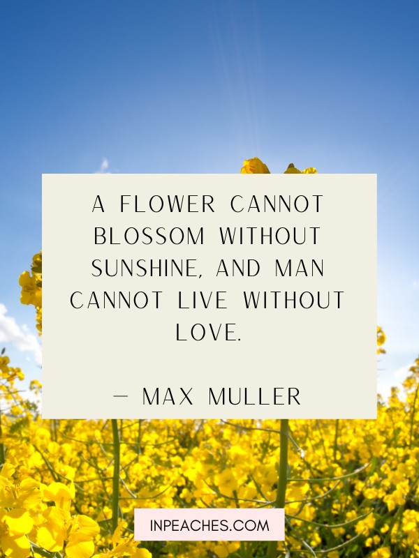 INSPIRING QUOTES ABOUT SUNSHINE