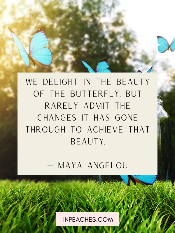 Inspirational butterfly quotes