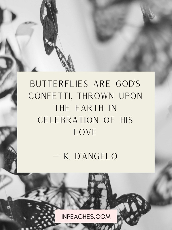 More inspiring butterfly quotes