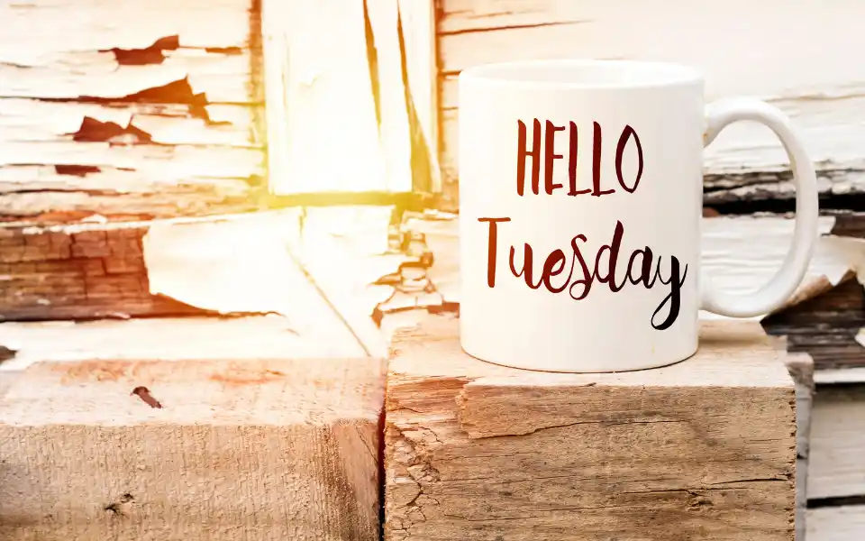 50+ Positive Tuesday Motivational Quotes for Work