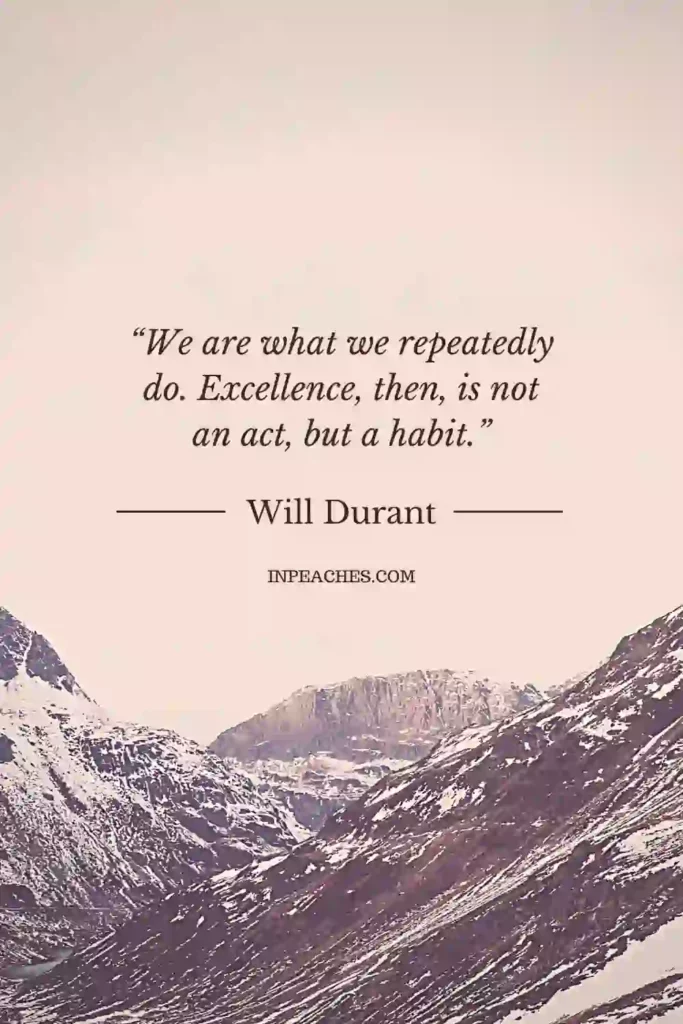 Excellence quotes